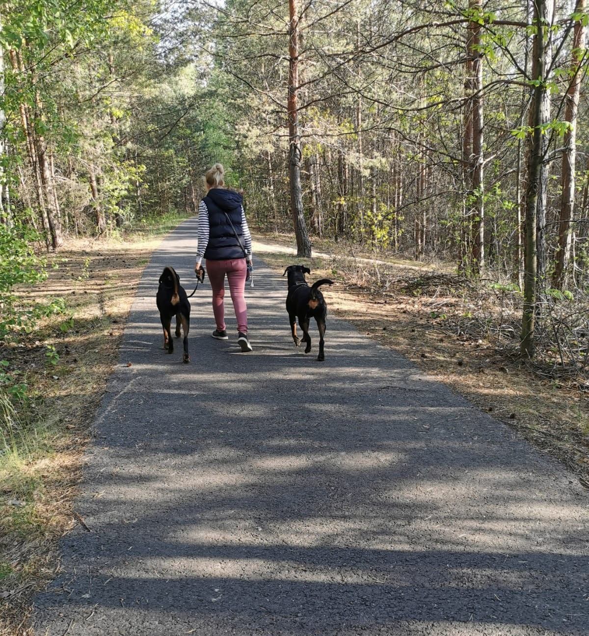 Frau mit zwei Hunden beim Spaziergang im Wald