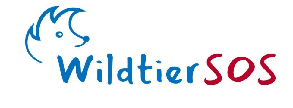 Wildtier-SOS: App der TiHo hilft bei Wildtierfunden